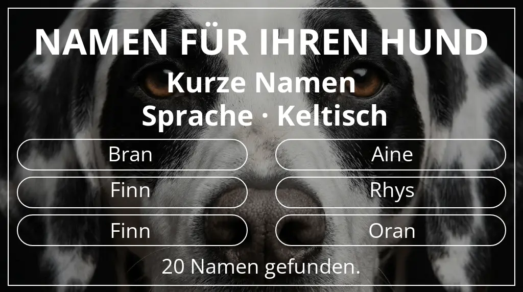 Namen für Hunde basierend auf namenslänge kurz (2–4) und sprache keltisch