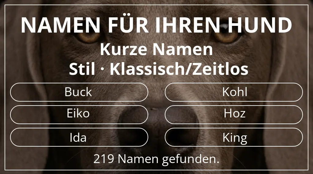 Namen für Hunde basierend auf namenslänge kurz (2–4) und stil klassisch/zeitlos