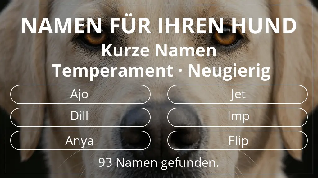 Hundenamen basierend auf namenslänge kurz (2–4) und temperament neugierig