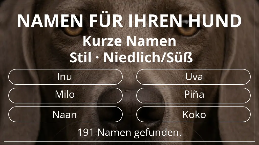 Hundenamen basierend auf namenslänge kurz (2–4) und stil niedlich/süß