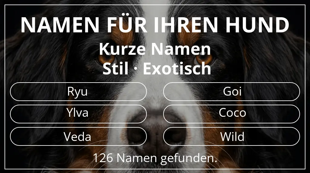 Hundenamen basierend auf namenslänge kurz (2–4) und stil exotisch