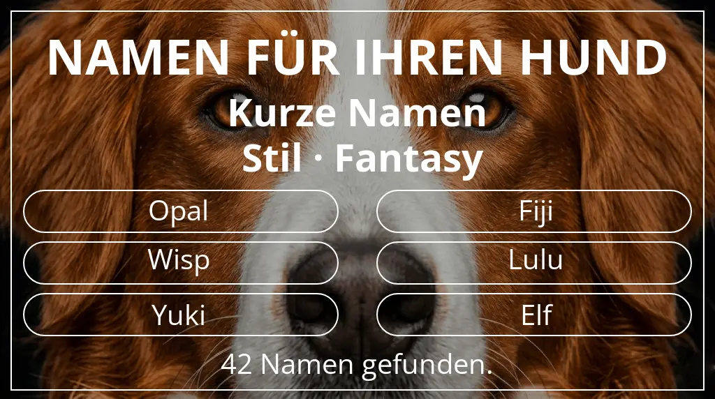 Hundenamen basierend auf namenslänge kurz (2–4) und stil fantasy