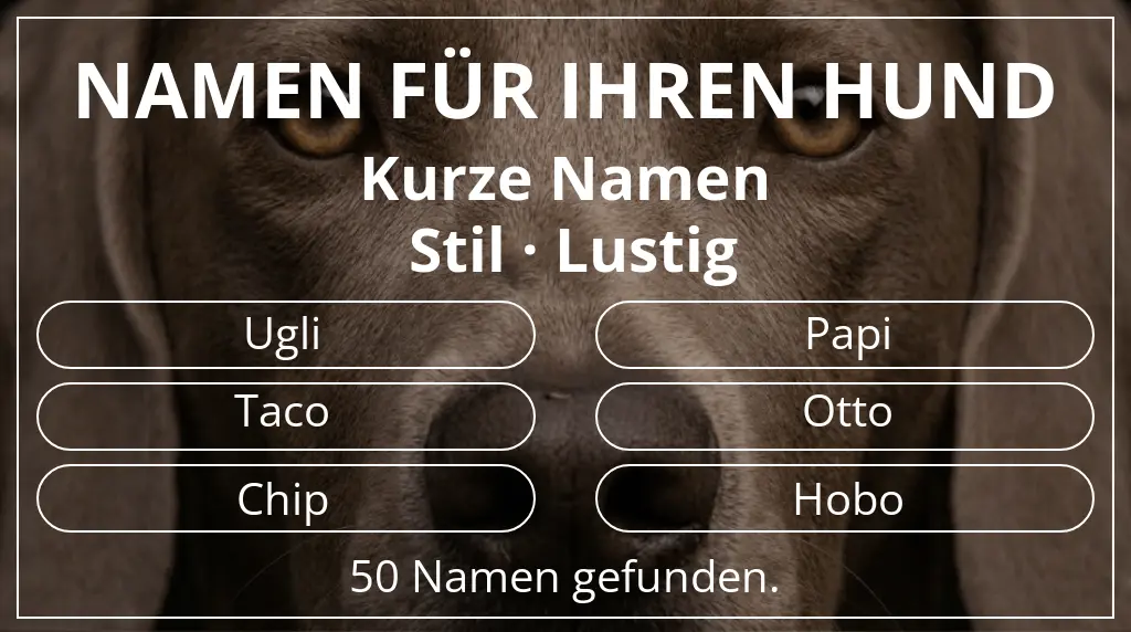 Namen für Hunde inspiriert von namenslänge kurz (2–4) und stil lustig