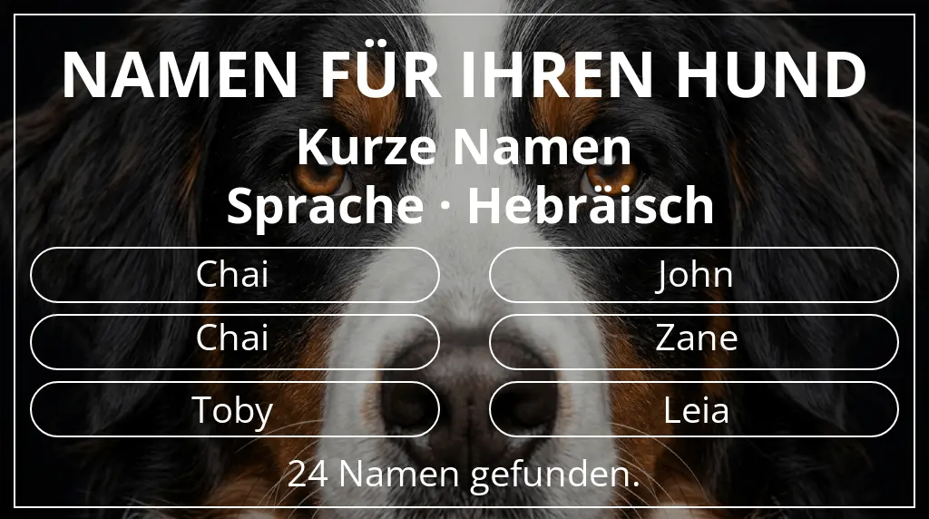 Hundenamen inspiriert von namenslänge kurz (2–4) und sprache hebräisch