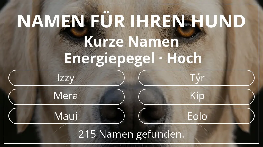 Hundenamen basierend auf namenslänge kurz (2–4) und energiepegel hoch