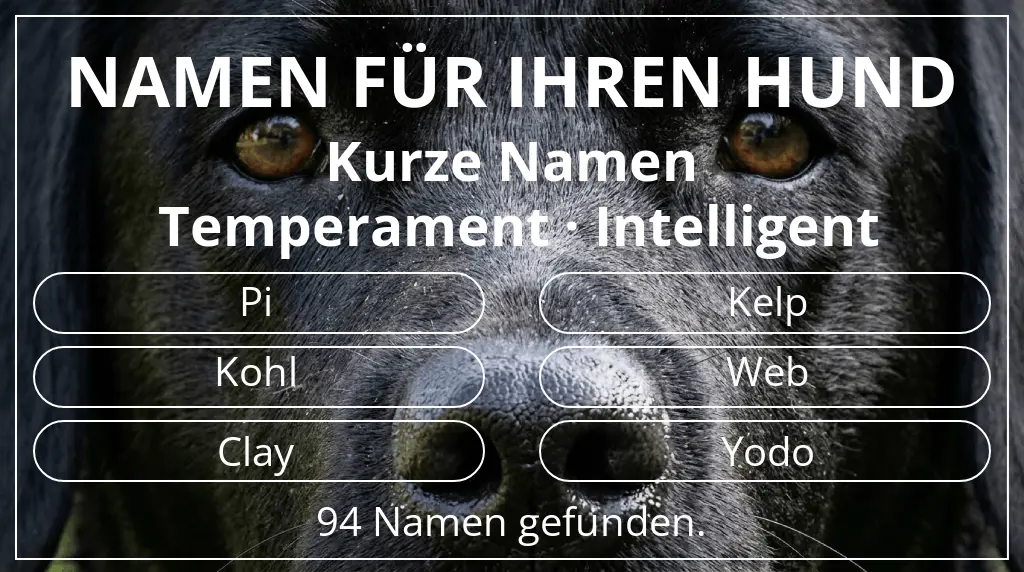 Namen für Hunde inspiriert von namenslänge kurz (2–4) und temperament intelligent