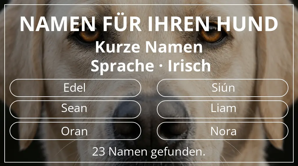Hundenamen basierend auf namenslänge kurz (2–4) und sprache irisch