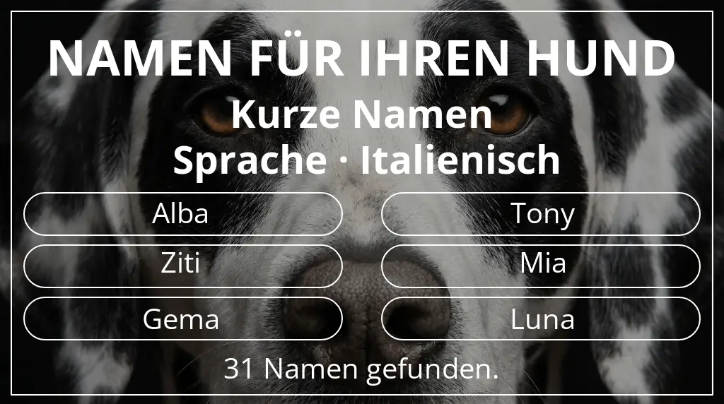 Hundenamen inspiriert von namenslänge kurz (2–4) und sprache italienisch