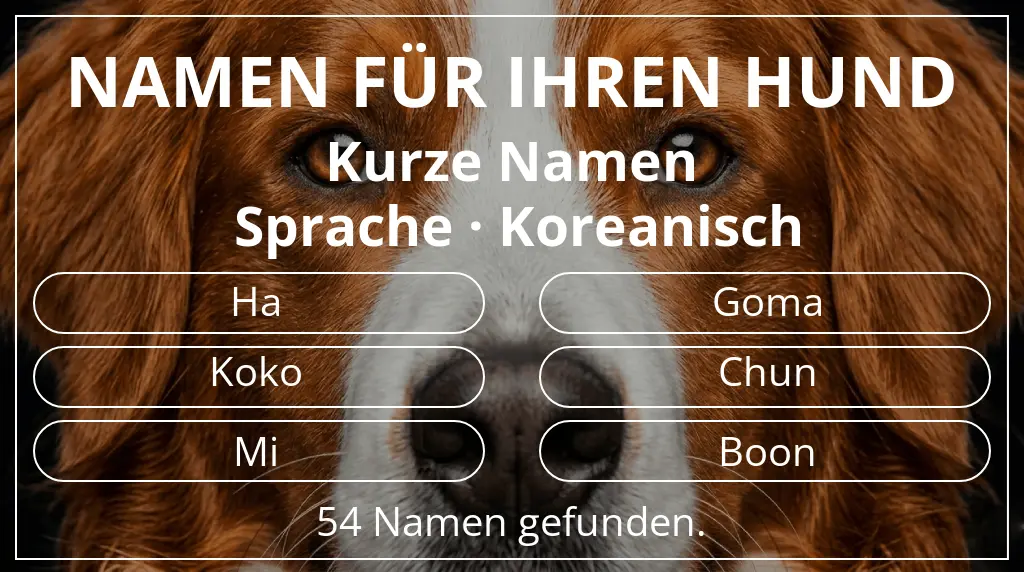 Hundenamen basierend auf namenslänge kurz (2–4) und sprache koreanisch