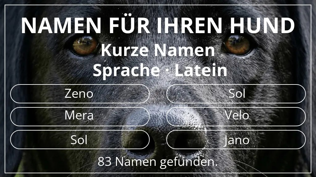 Namen für Hunde inspiriert von namenslänge kurz (2–4) und sprache latein