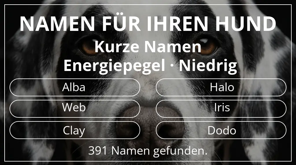 Namen für Hunde inspiriert von namenslänge kurz (2–4) und energiepegel niedrig