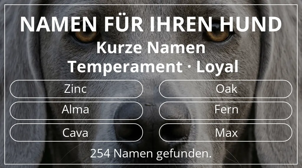 Namen für Hunde inspiriert von namenslänge kurz (2–4) und temperament loyal