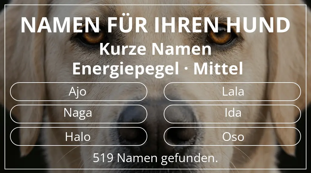 Hundenamen basierend auf namenslänge kurz (2–4) und energiepegel mittel