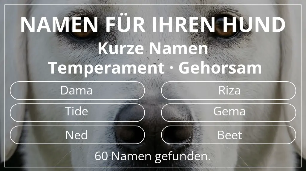 Namen für Hunde inspiriert von namenslänge kurz (2–4) und temperament gehorsam