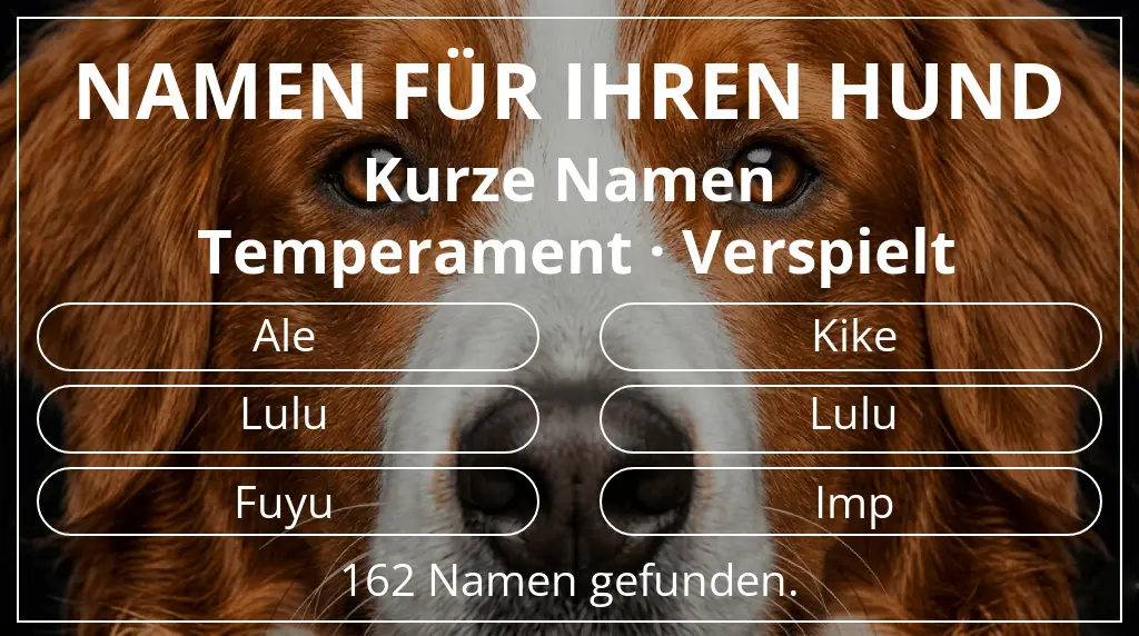 Namen für Hunde basierend auf namenslänge kurz (2–4) und temperament verspielt