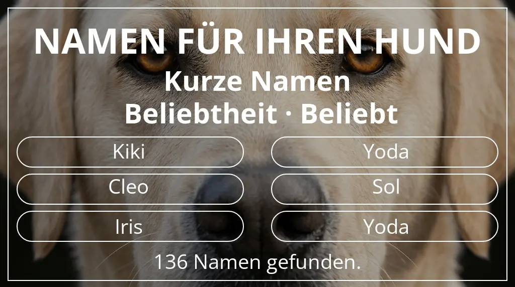 Hundenamen basierend auf namenslänge kurz (2–4) und beliebtheit beliebt