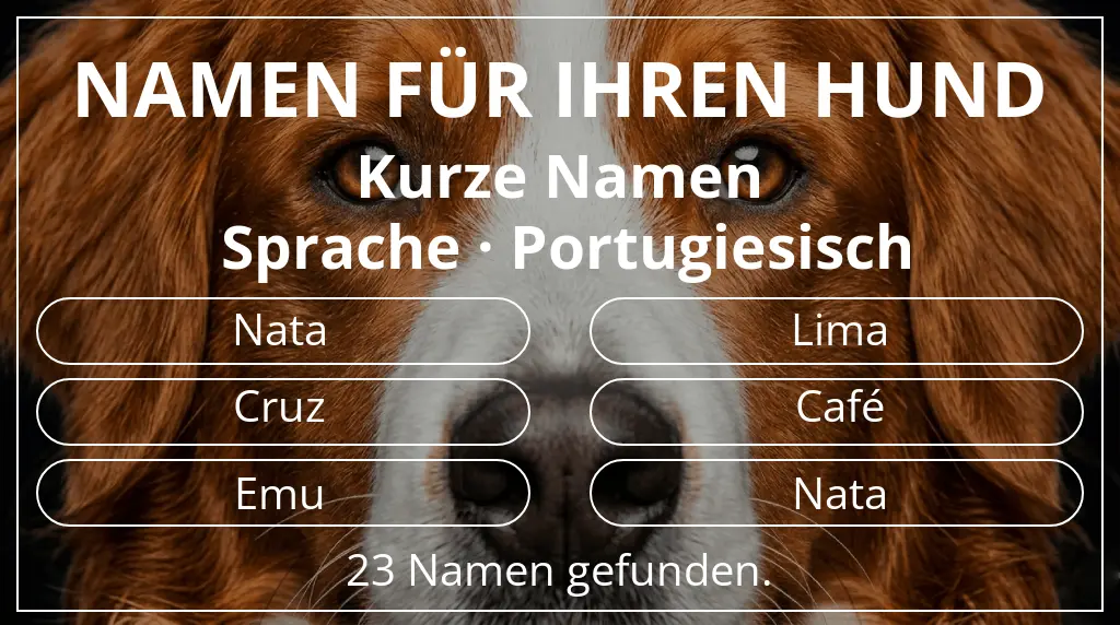Hundenamen inspiriert von namenslänge kurz (2–4) und sprache portugiesisch
