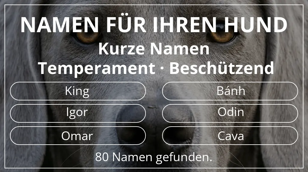 Hundenamen inspiriert von namenslänge kurz (2–4) und temperament beschützend