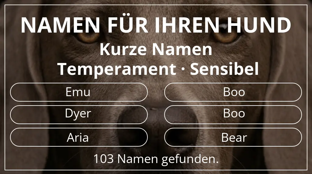 Hundenamen inspiriert von namenslänge kurz (2–4) und temperament sensibel