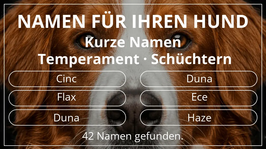 Hundenamen inspiriert von namenslänge kurz (2–4) und temperament schüchtern
