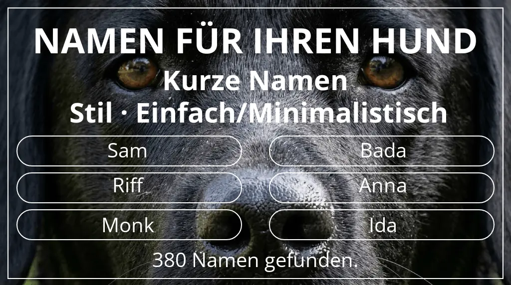 Namen für Hunde basierend auf namenslänge kurz (2–4) und stil einfach/minimalistisch
