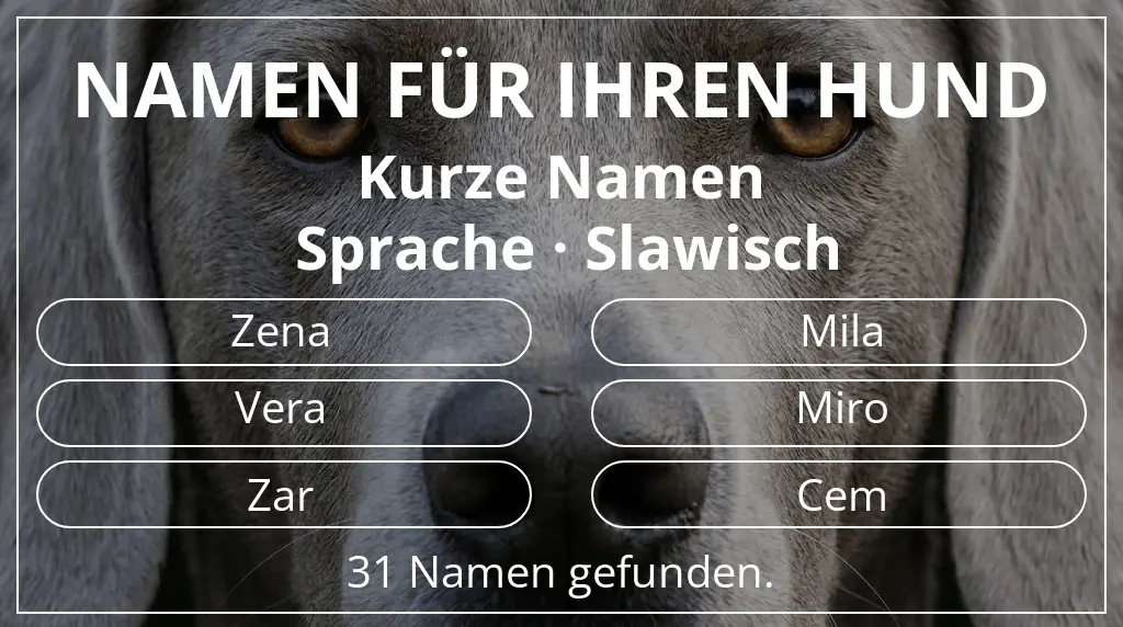 Hundenamen inspiriert von namenslänge kurz (2–4) und sprache slawisch