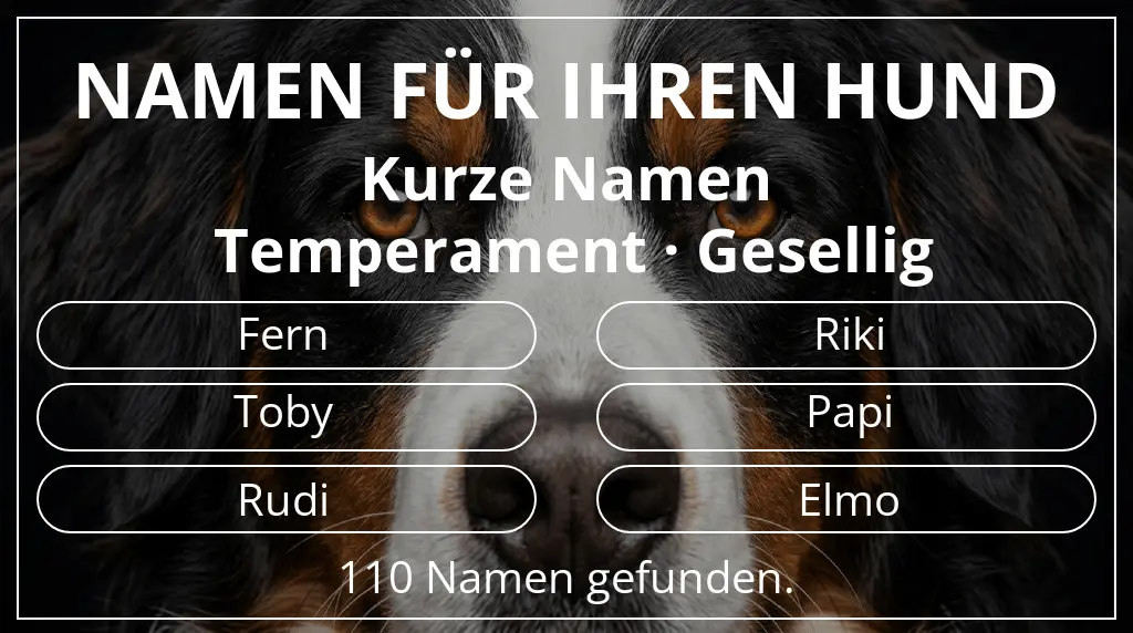 Hundenamen basierend auf namenslänge kurz (2–4) und temperament gesellig