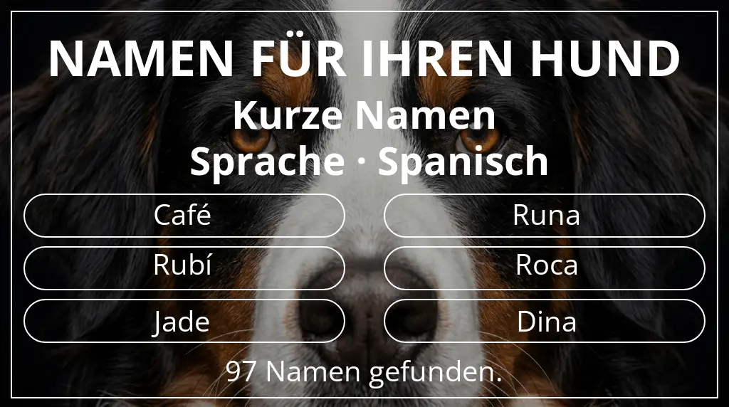 Hundenamen inspiriert von namenslänge kurz (2–4) und sprache spanisch