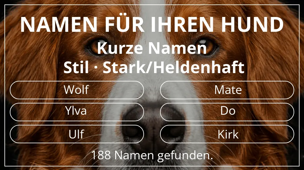 Hundenamen basierend auf namenslänge kurz (2–4) und stil stark/heldenhaft