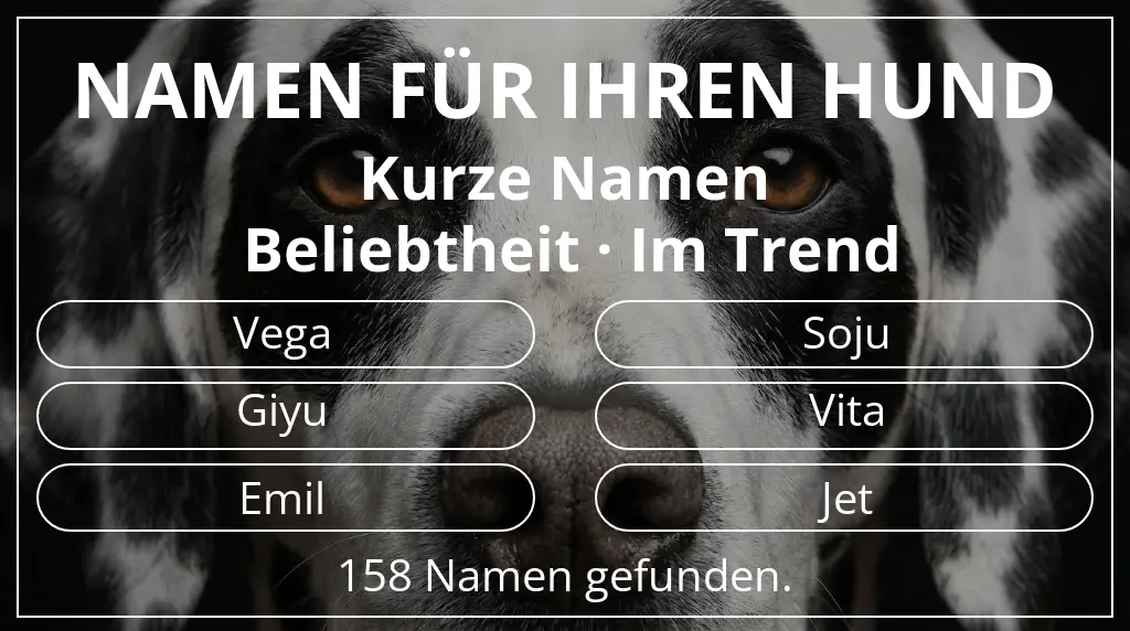 Hundenamen basierend auf namenslänge kurz (2–4) und beliebtheit im trend