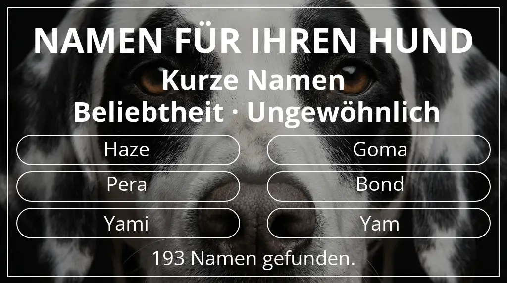 Namen für Hunde basierend auf namenslänge kurz (2–4) und beliebtheit ungewöhnlich