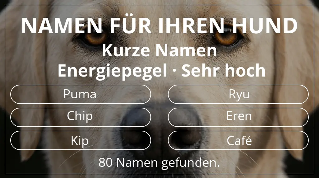 Namen für Hunde inspiriert von namenslänge kurz (2–4) und energiepegel sehr hoch