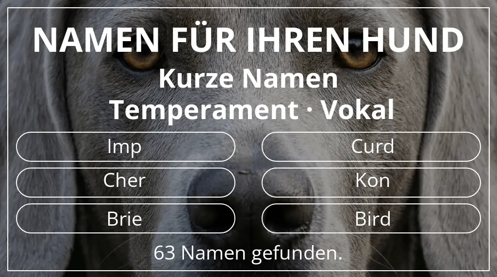 Hundenamen basierend auf namenslänge kurz (2–4) und temperament vokal