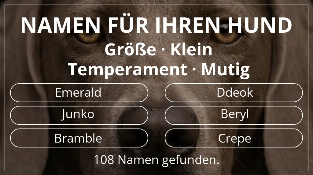 Namen für Hunde basierend auf größe klein und temperament mutig