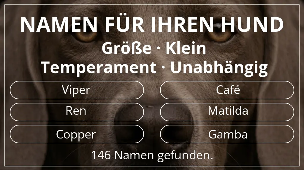 Namen für Hunde basierend auf größe klein und temperament unabhängig