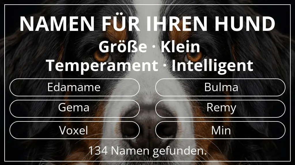 Hundenamen basierend auf größe klein und temperament intelligent