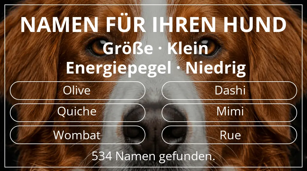 Hundenamen basierend auf größe klein und energiepegel niedrig