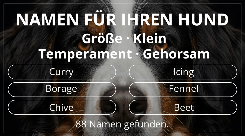 Hundenamen basierend auf größe klein und temperament gehorsam