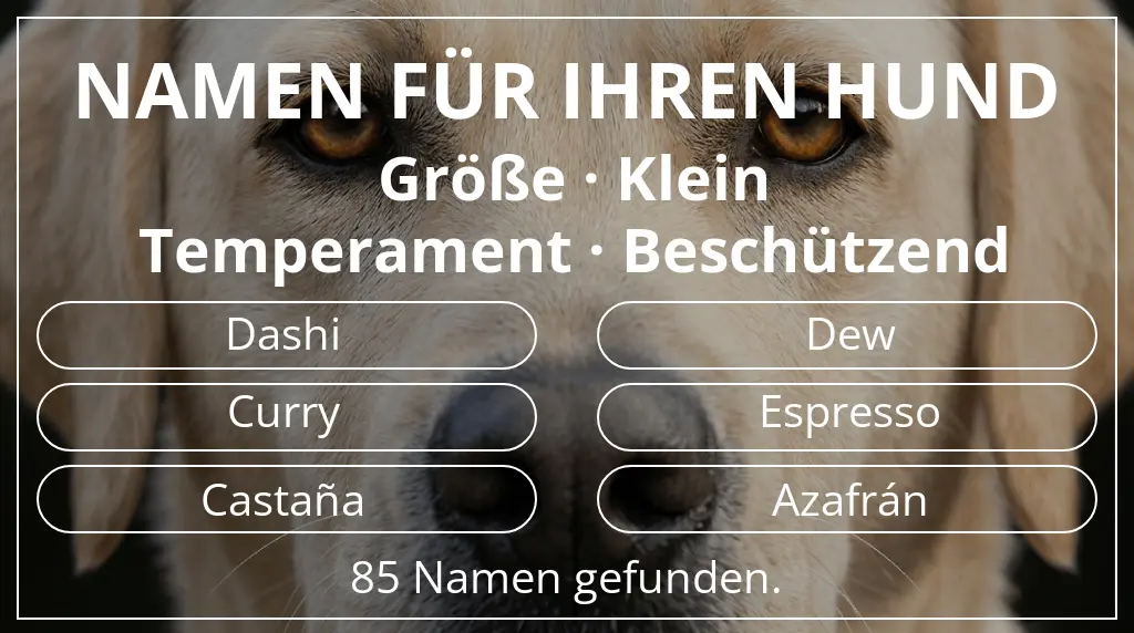 Namen für Hunde basierend auf größe klein und temperament beschützend