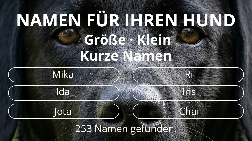 Namen für Hunde inspiriert von größe klein und namenslänge kurz (2–4)