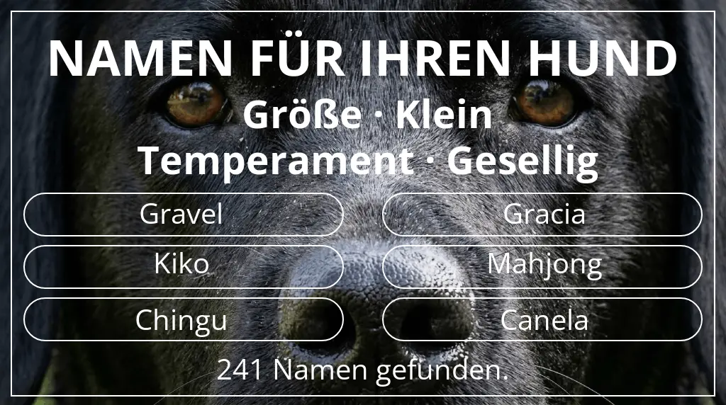 Hundenamen inspiriert von größe klein und temperament gesellig