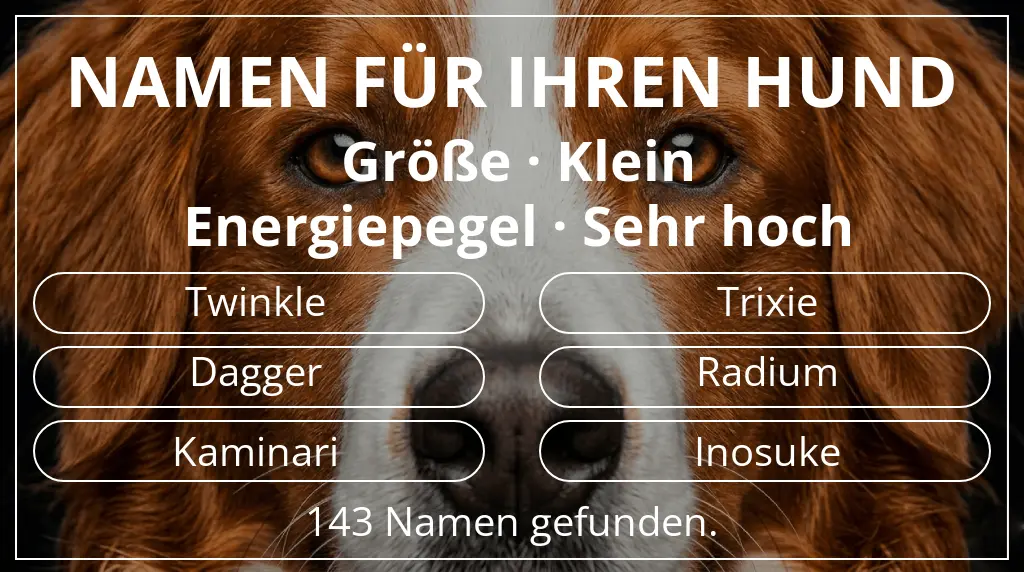 Hundenamen basierend auf größe klein und energiepegel sehr hoch