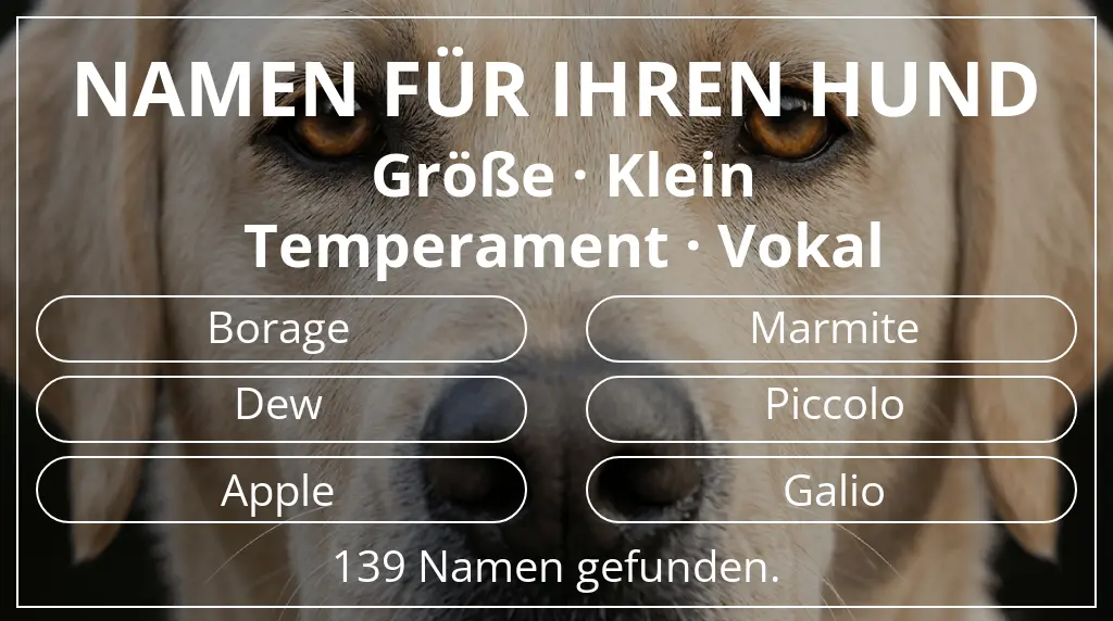 Hundenamen inspiriert von größe klein und temperament vokal