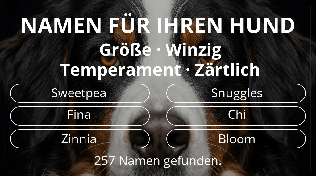 Namen für Hunde inspiriert von größe winzig und temperament zärtlich