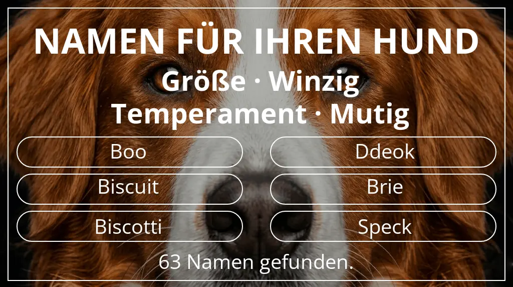 Hundenamen inspiriert von größe winzig und temperament mutig