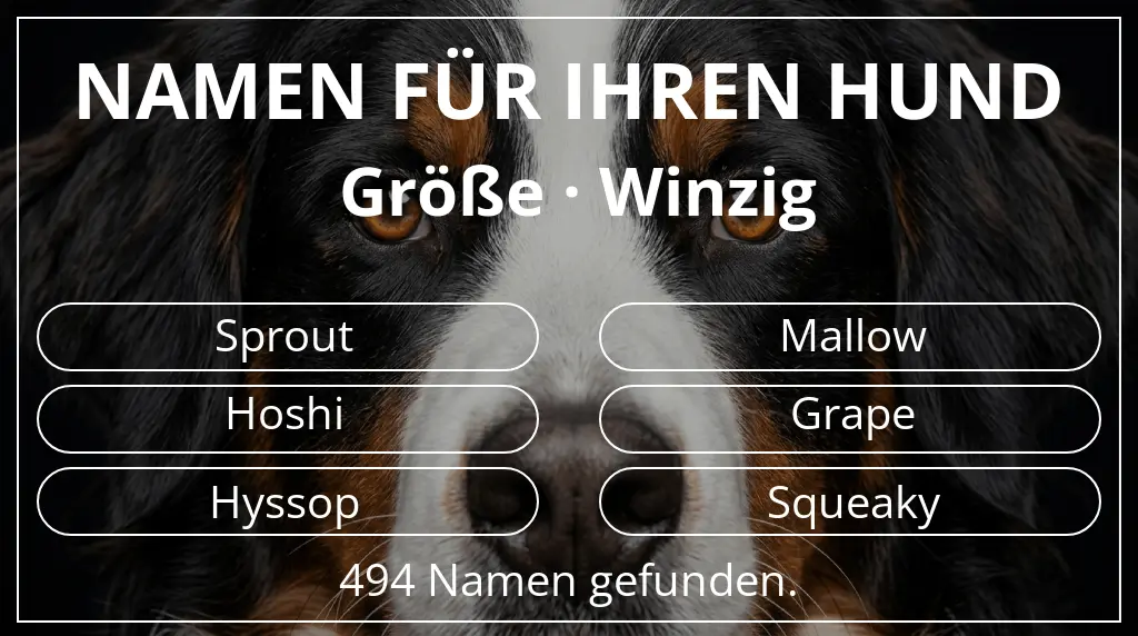 Namen für Hunde inspiriert von größe winzig