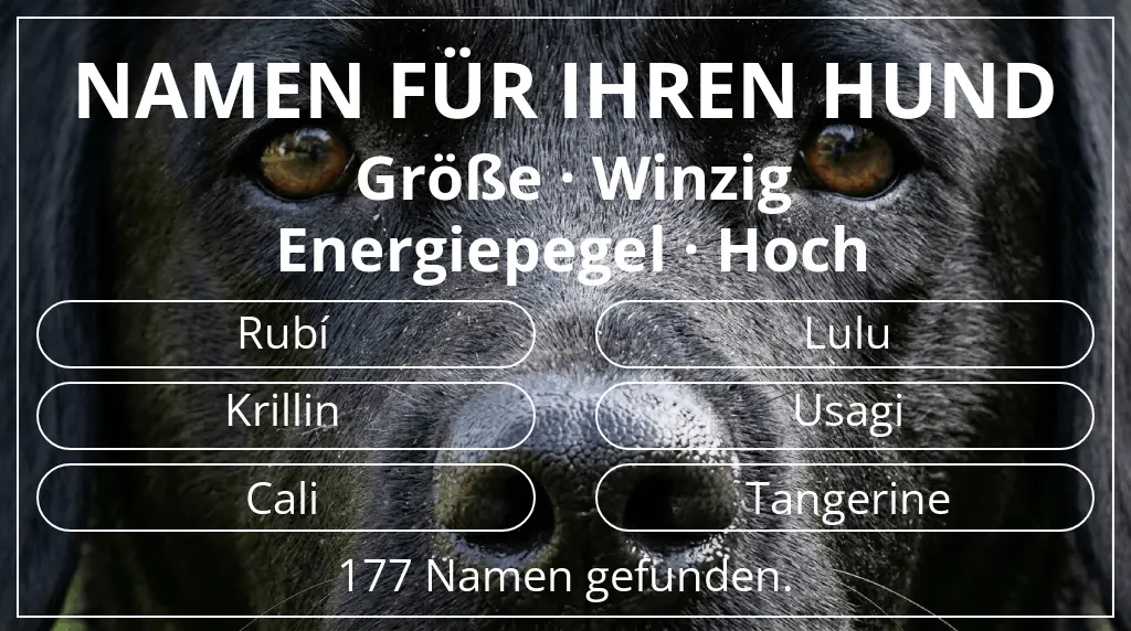 Hundenamen basierend auf größe winzig und energiepegel hoch
