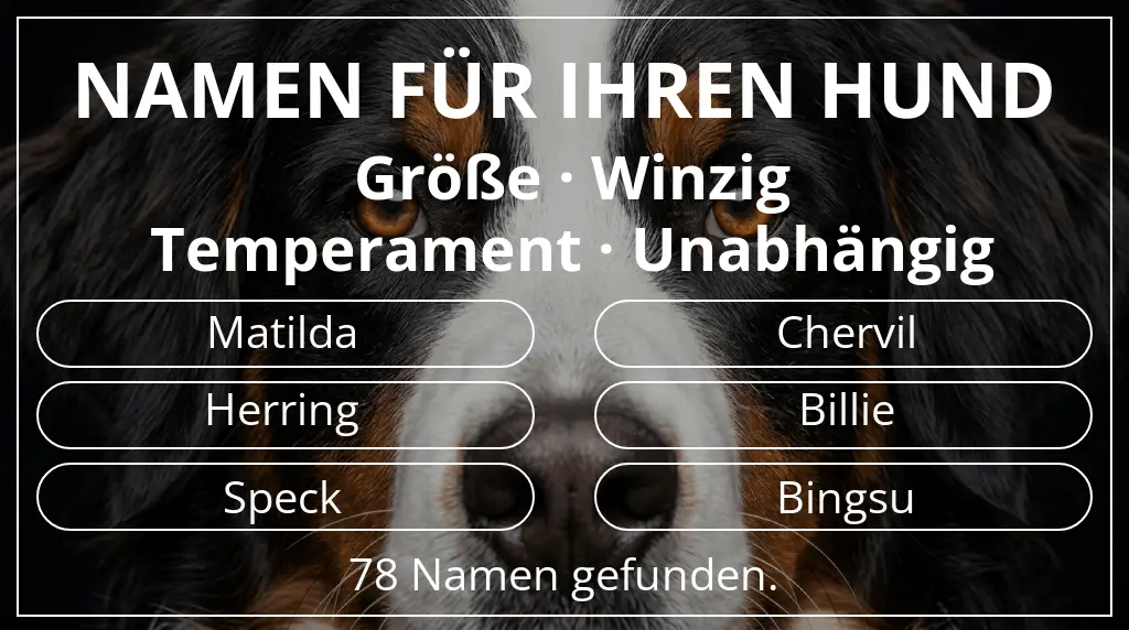 Namen für Hunde basierend auf größe winzig und temperament unabhängig