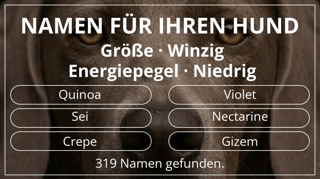 Hundenamen basierend auf größe winzig und energiepegel niedrig