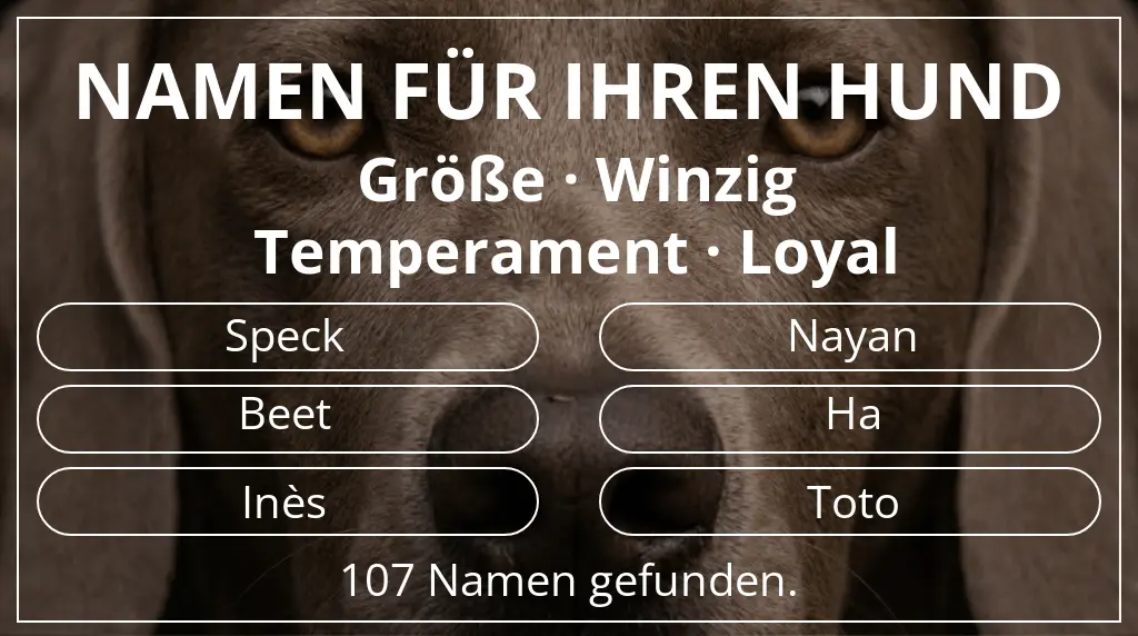 Hundenamen basierend auf größe winzig und temperament loyal